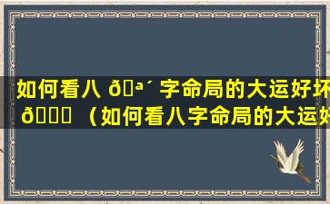 如何看八 🪴 字命局的大运好坏 🐘 （如何看八字命局的大运好坏呢）